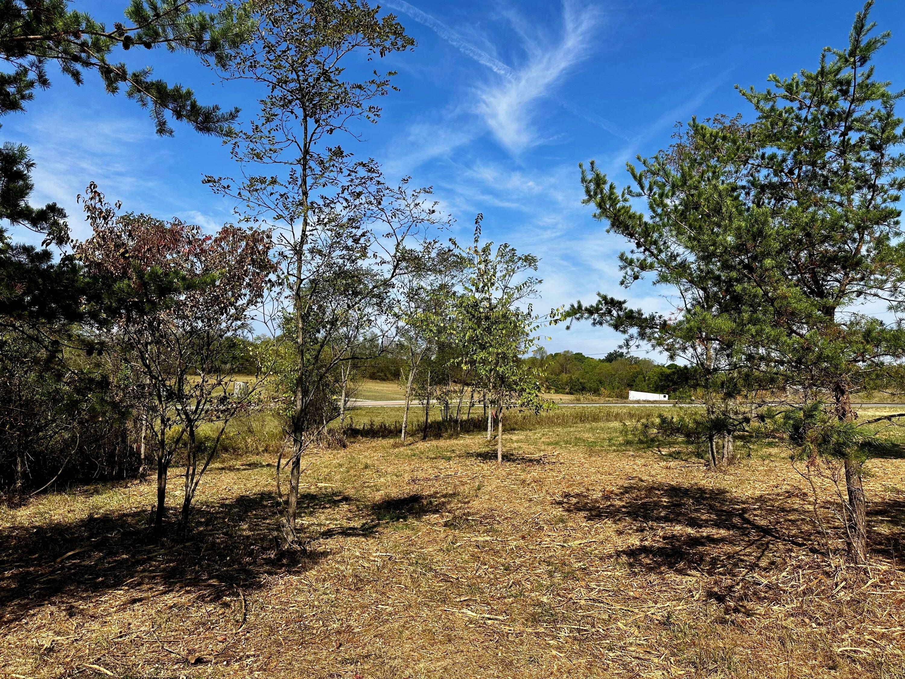 0 Dutch Ridge Road, Unit TRACT 6 AT DUTCH RIDGE) New Straitsville, OH 43766 - Photo 13 of 44 20240920_152451208_iOS