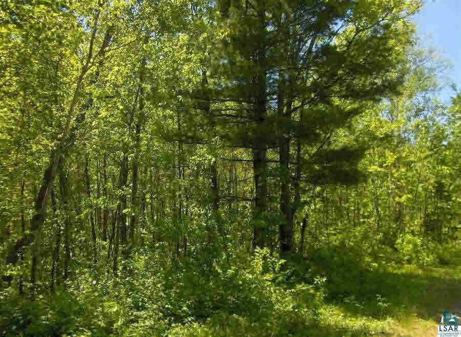 Lot 2 East Cable Lake Road Cable, WI 54821 - Photo 1 of 3 Gallery Image 1