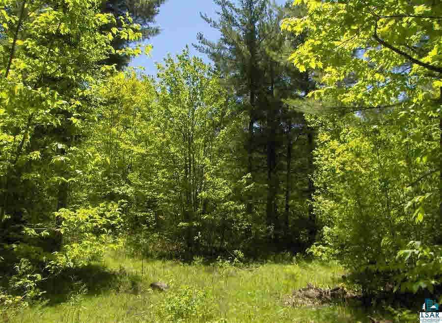 Lot 2 East Cable Lake Road Cable, WI 54821 - Photo 2 of 3 Gallery Image 2