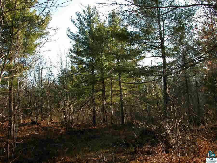 Lot 2 East Cable Lake Road Cable, WI 54821 - Photo 3 of 3 Gallery Image 3