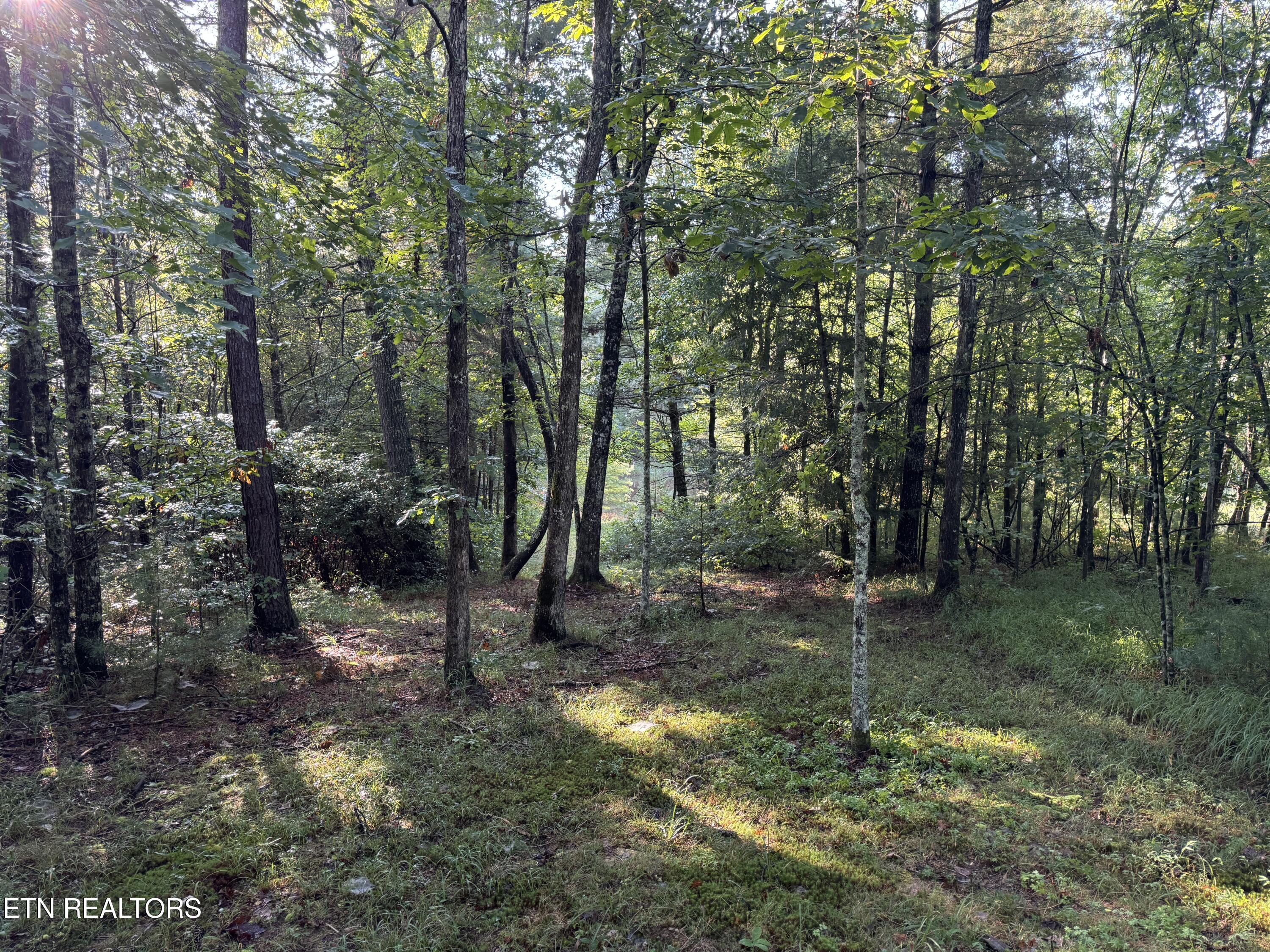 Davis Road Deer Lodge, TN 37726 - Photo 23 of 60 IMG_8552