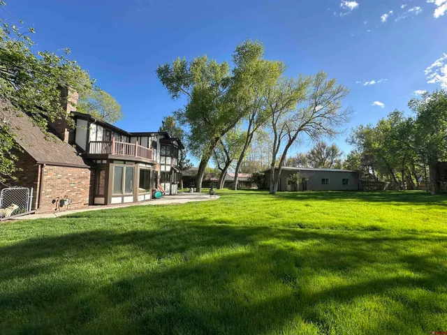 a view of a big yard with palm trees