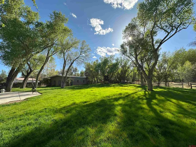 a backyard of a house with lots of green space and fountain