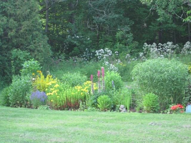 490 Common Road Union, ME 04862 - Photo 8 of 34 Garden bed