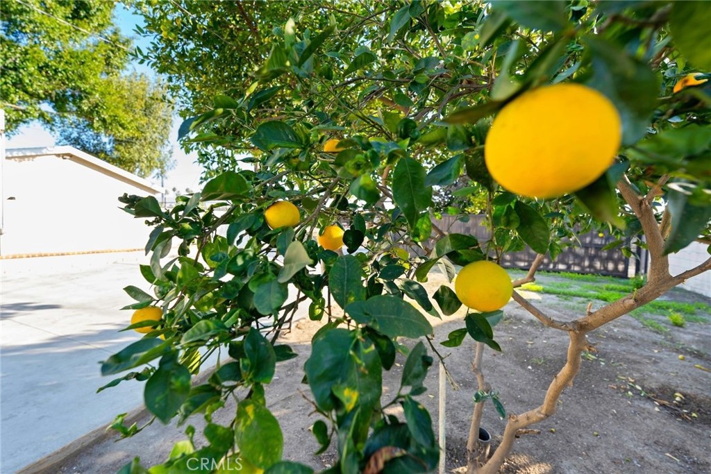 1104 Williamson Avenue Fullerton, CA 92833 - Photo 20 of 75 a view of a swimming pool with a yard and a table