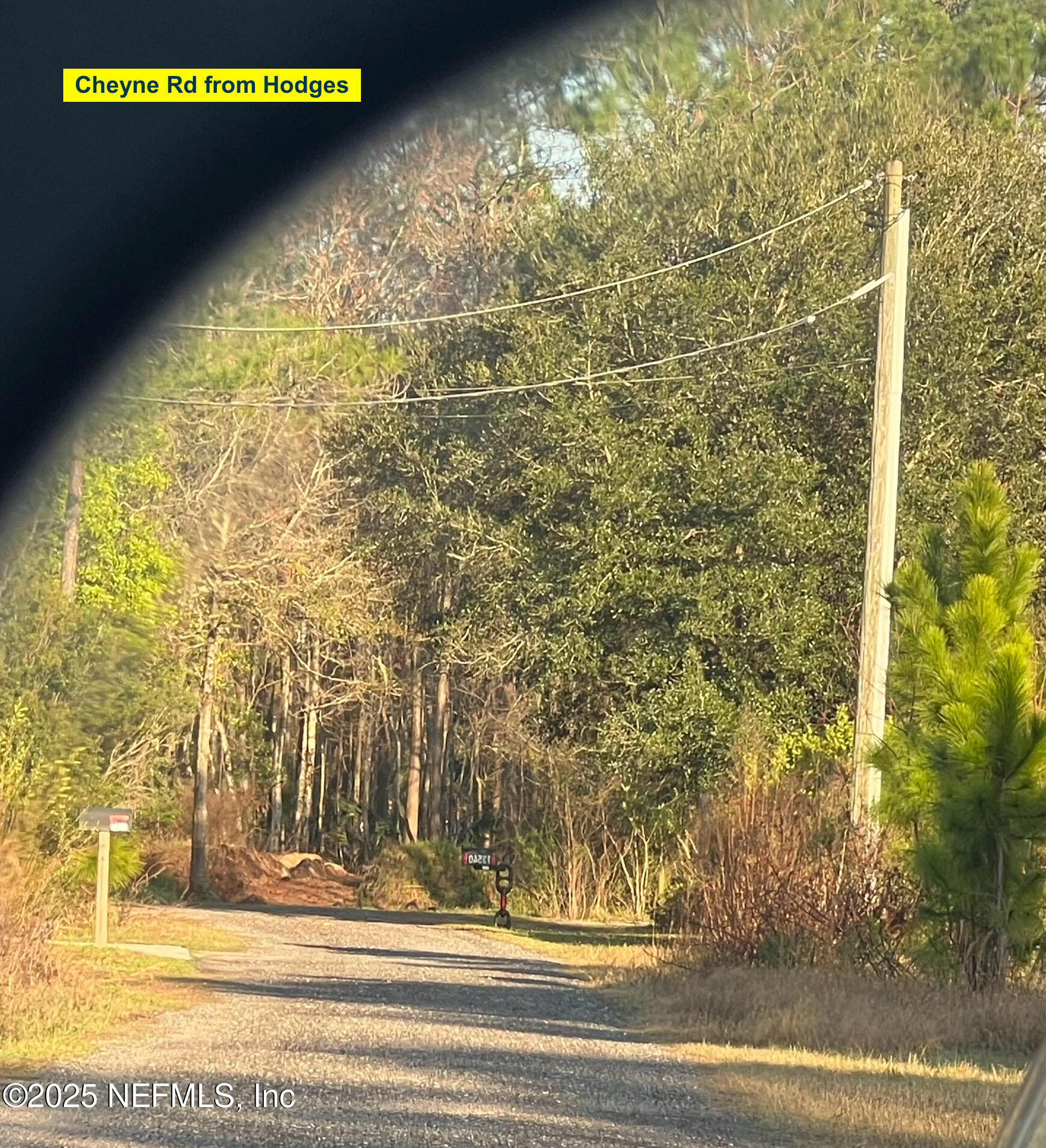 0 Cheyne Road Jacksonville, FL 32246 - Photo 4 of 4 4
