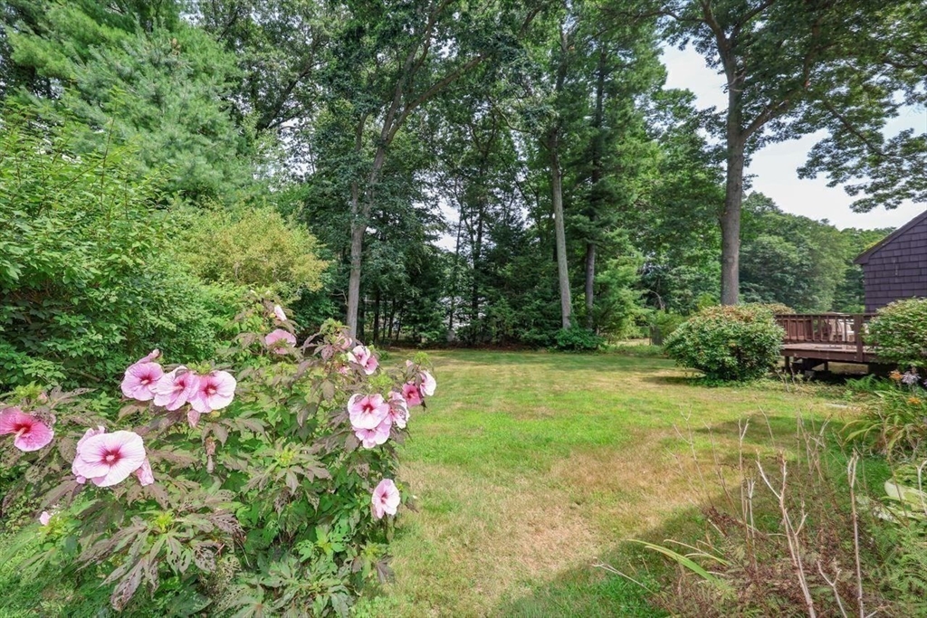 35 Walnut Road Chelmsford, MA 01824 - Photo 38 of 42 a pink flowers in the garden