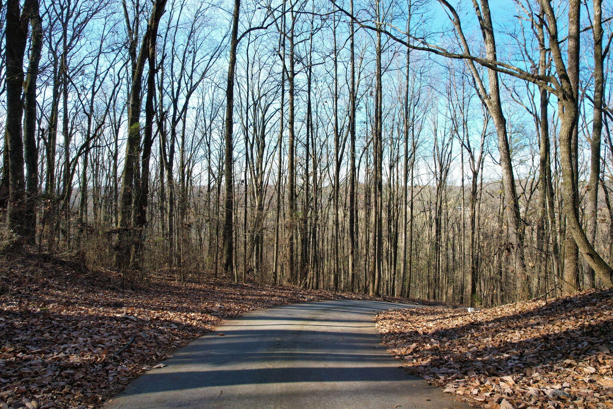 1 Weatherly Switch Trail Southwest Cleveland, TN 37311 - Photo 4 of 16 Gallery Image 4