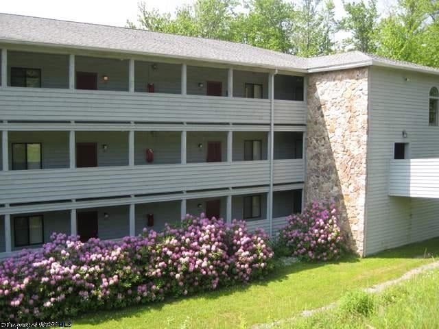 234 Beaver Ridge Road Davis, WV 26260 - Photo 1 of 8 Gallery Image 1