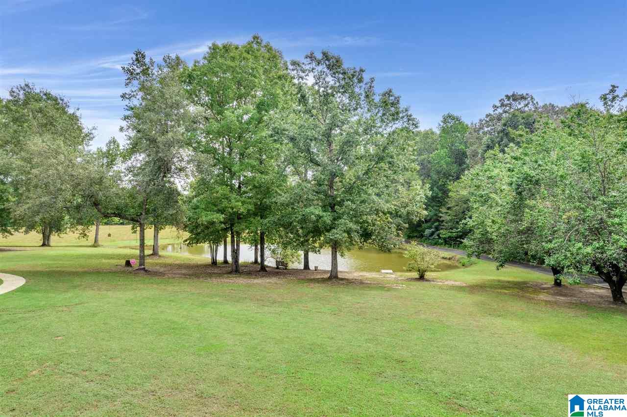 7911 Alliance Short Creek Road Mulga, AL 35118 - Photo 47 of 50