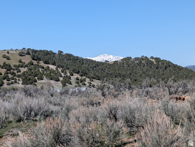 11799 Cove Creek Road Mount Pleasant, UT 84647 - Photo 5 of 15 View of mountain backdrop with a forest