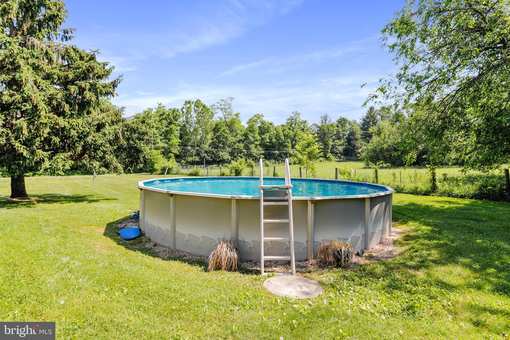8311 Mapleville Road Boonsboro, MD 21713 - Photo 20 of 64 Above ground pool included.