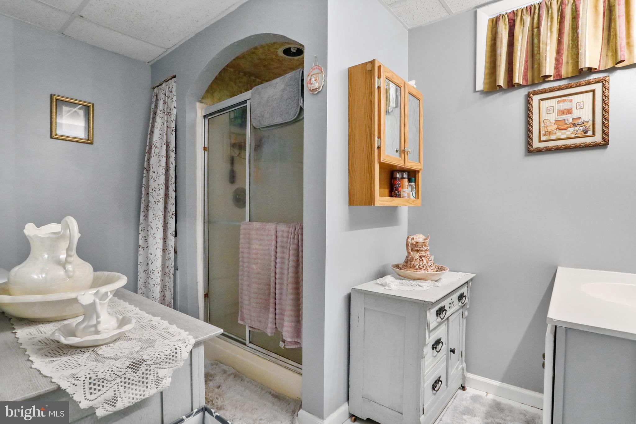 8311 Mapleville Road Boonsboro, MD 21713 - Photo 50 of 64 Full bathroom on lower level.