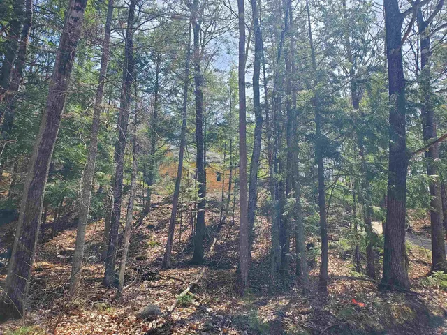 $95,900 | 0 Tunnel Road, Grafton, NH 03240