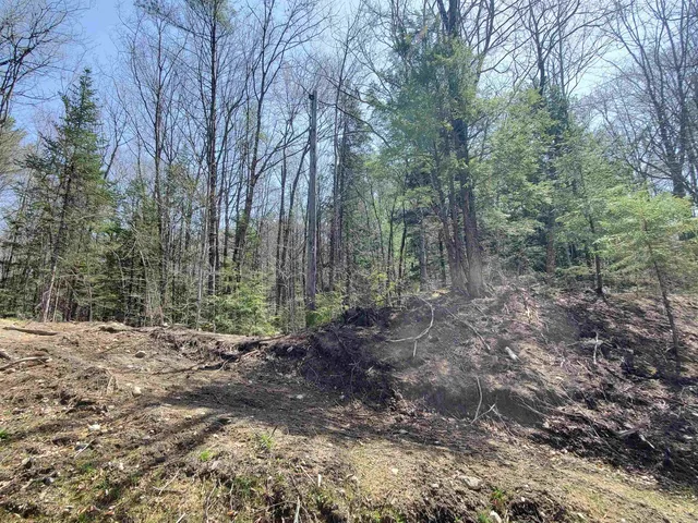 $95,900 | 0 Tunnel Road, Grafton, NH 03240