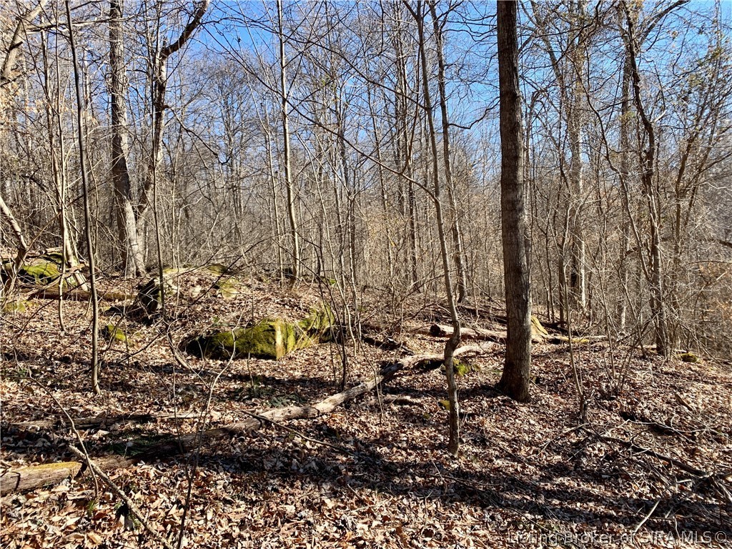 2771 East Magnolia Road English, IN 47118 - Photo 11 of 30
