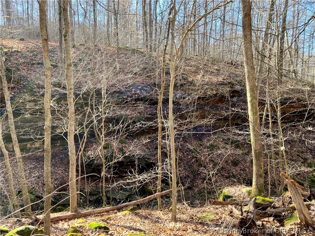 2771 East Magnolia Road English, IN 47118 - Photo 12 of 30