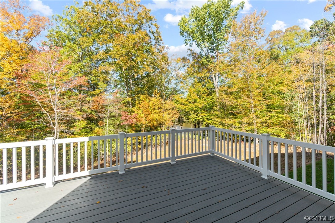 12812 Lonan Avenue Chesterfield, VA 23838 - Photo 48 of 49