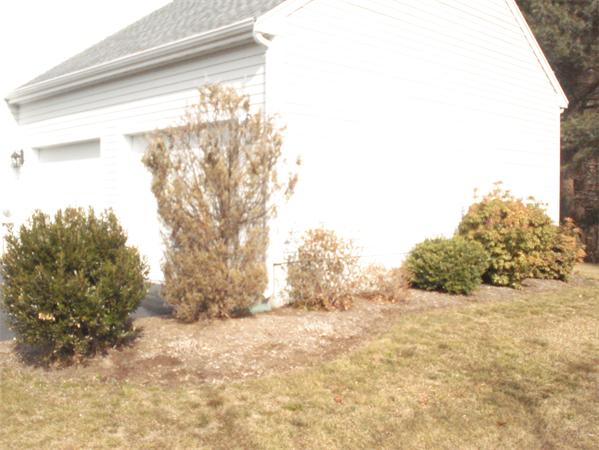 79 Pattys Road Mansfield, MA 02048 - Photo 12 of 14 Gallery Image 12