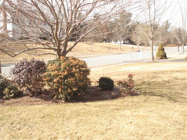 79 Pattys Road Mansfield, MA 02048 - Photo 13 of 14 Gallery Image 13