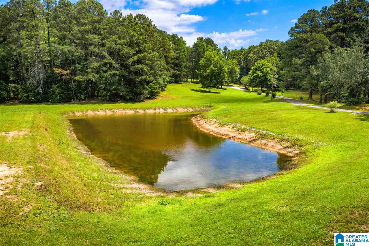 225 County Road 33 Oneonta, AL 35121 - Photo 25 of 41