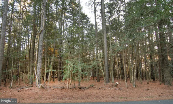 $15,000 | Lot 827 Castaway Drive, Greenbackville, VA 23356