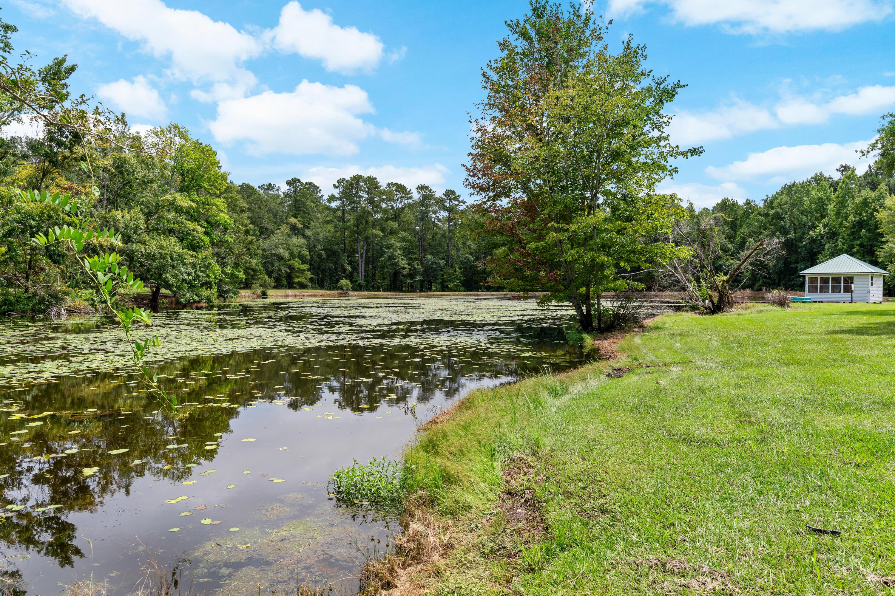 180 State Rd S-38-1893 Orangeburg, SC 29115 - Photo 63 of 73 DSC09003