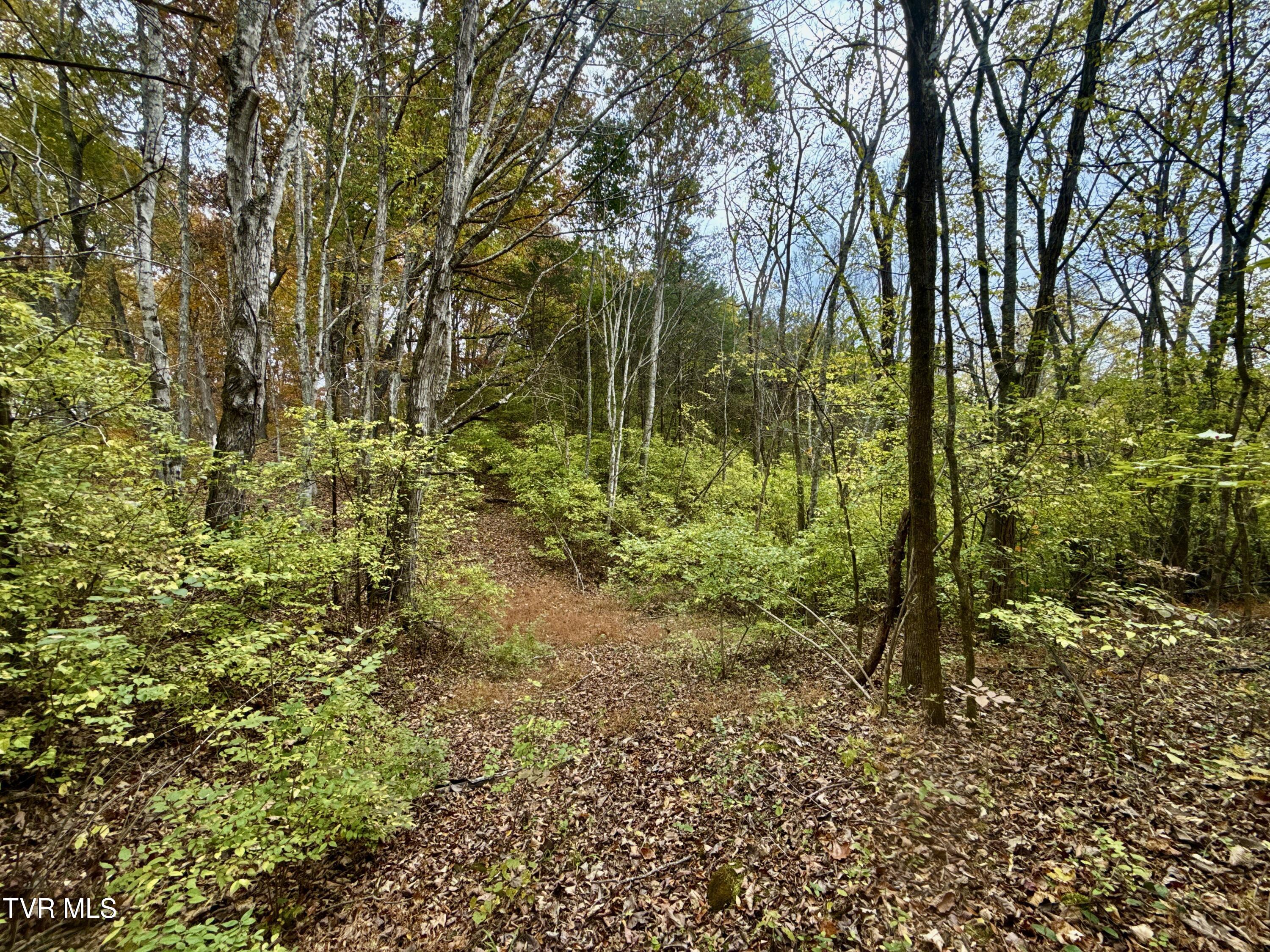 1499 Keesel Hollow Road Bybee, TN 37713 - Photo 23 of 39 _Pic30 (26)