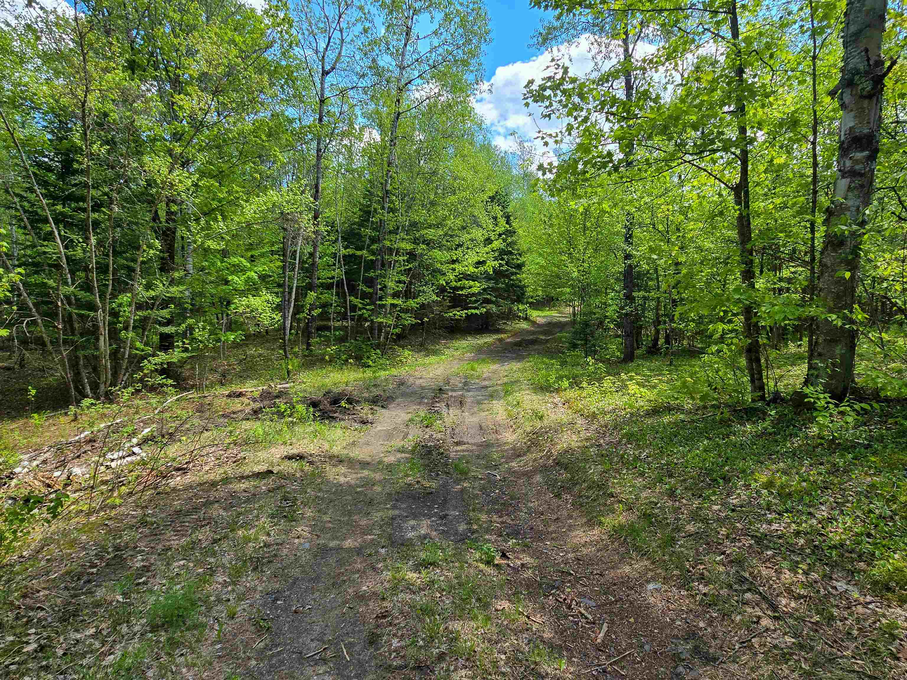 990 Daniels Road West Albany, VT 05845 - Photo 34 of 40