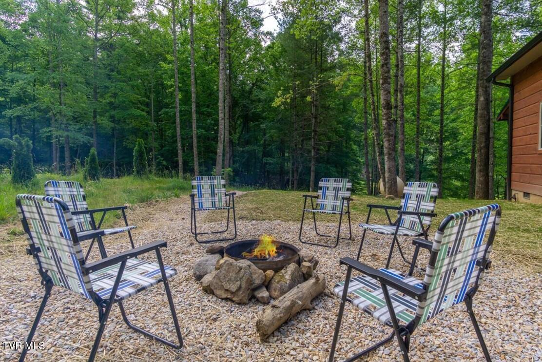 1763 Dennis Cove Road Hampton, TN 37658 - Photo 23 of 25 0004 headwaters