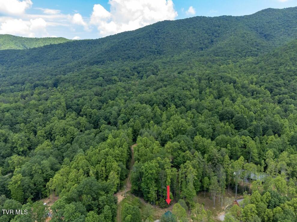 1763 Dennis Cove Road Hampton, TN 37658 - Photo 24 of 25 0007 headwaters