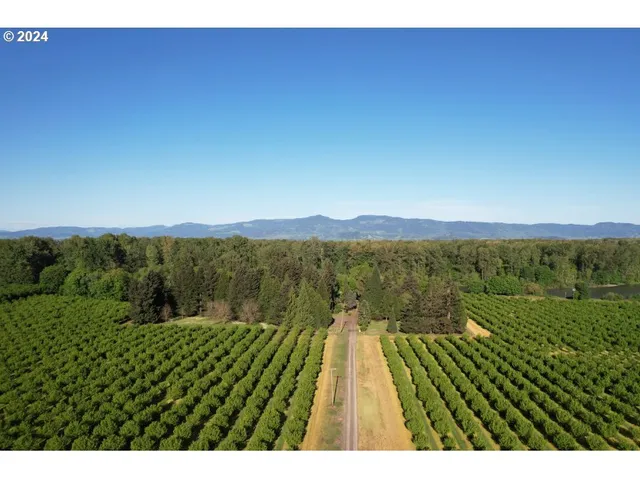 a view of lake and mountain