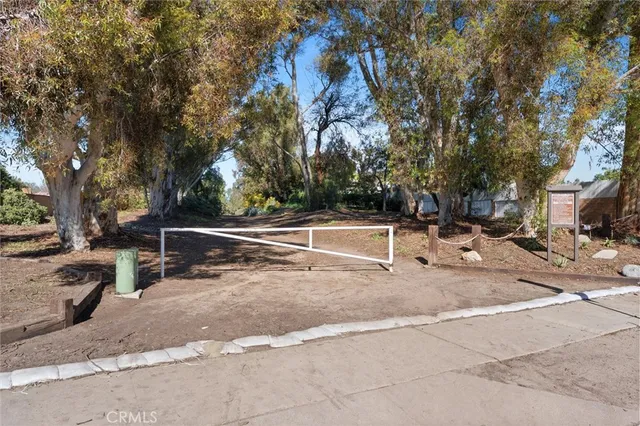 a view of backyard with large trees