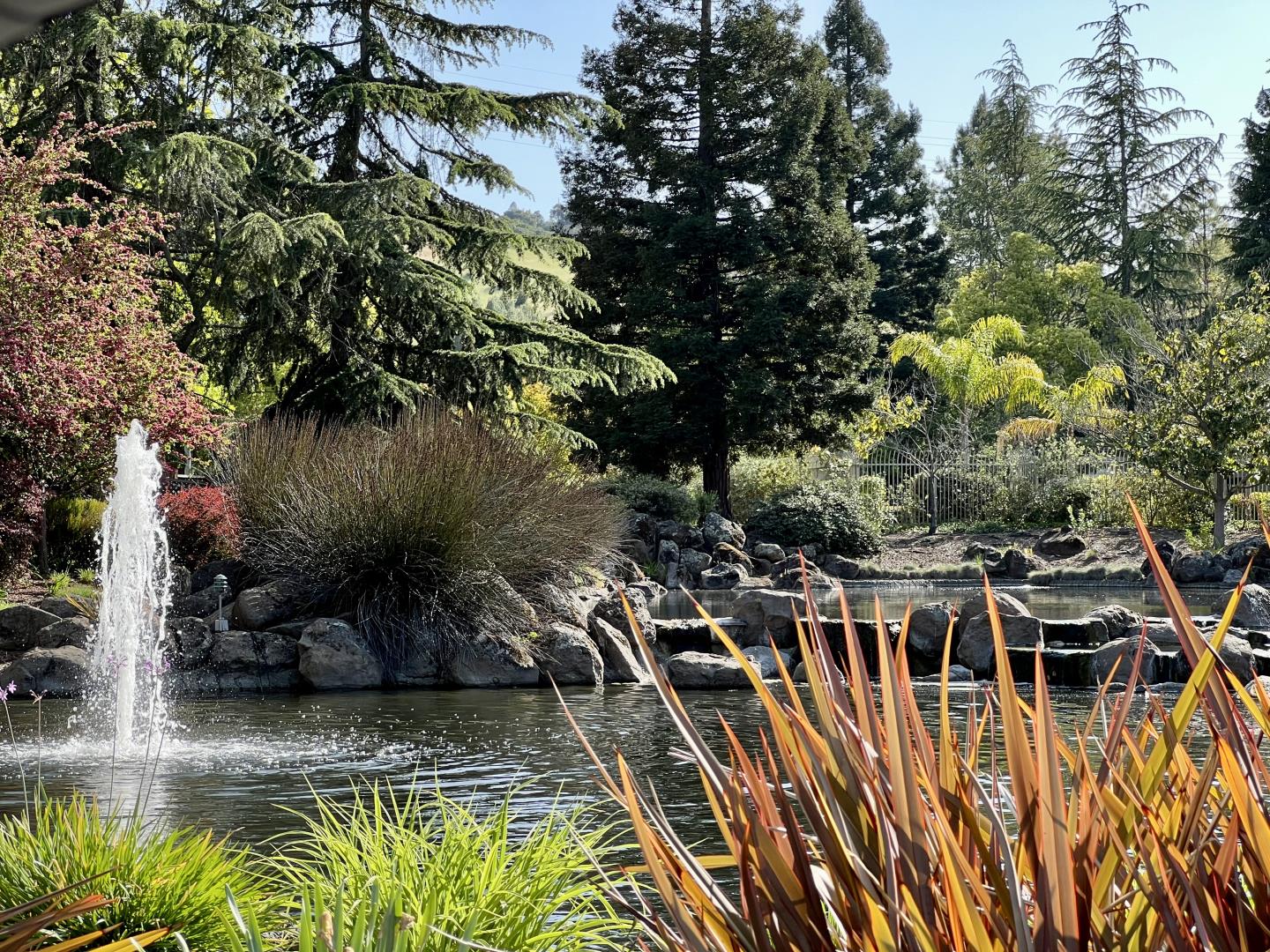 11792 Pine Brook Lane Cupertino, CA 95014 - Photo 18 of 19 a view of a balcony with plants