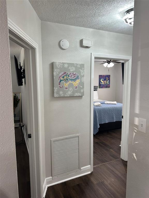 16903 Hanna Road Lutz, FL 33549 - Photo 42 of 94 a en suite bathroom with a sink and a mirror