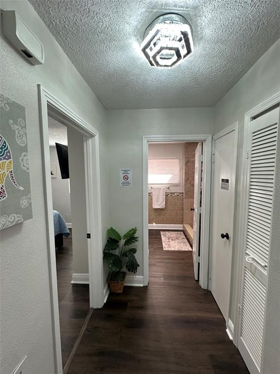 16903 Hanna Road Lutz, FL 33549 - Photo 45 of 94 a view of an entryway of a house and wooden floor