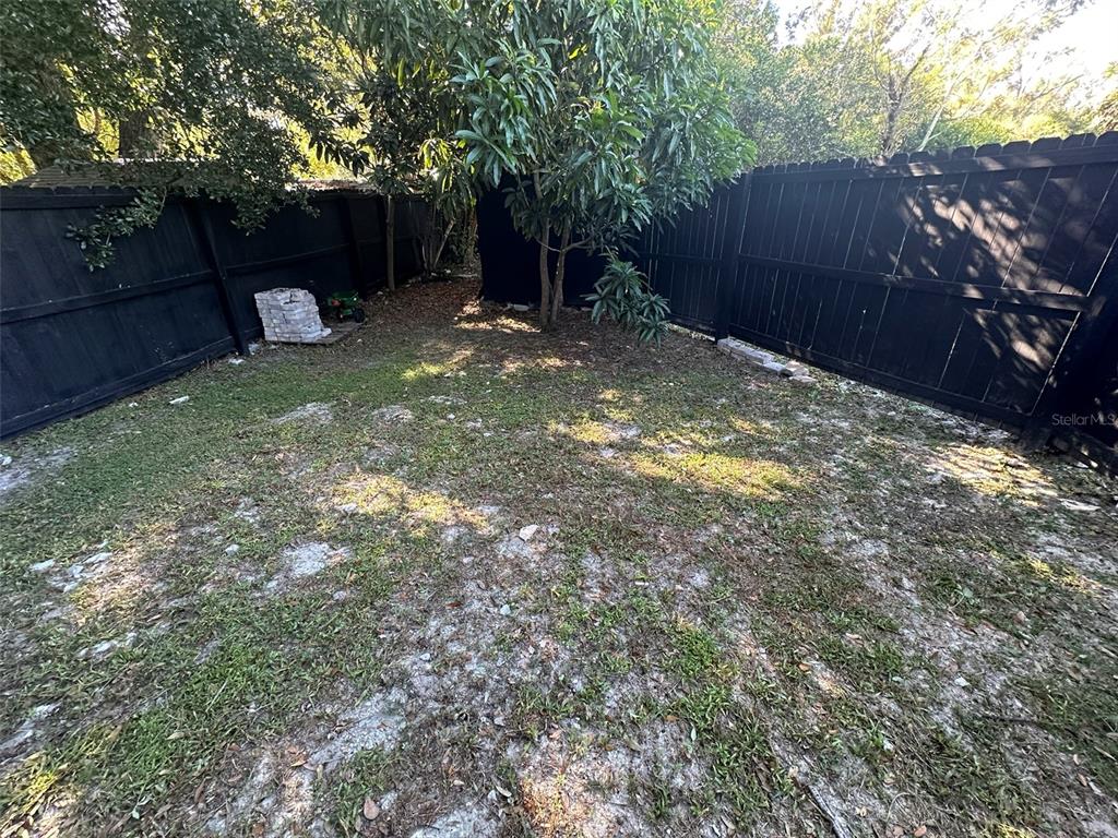 16903 Hanna Road Lutz, FL 33549 - Photo 81 of 94 a backyard of a house