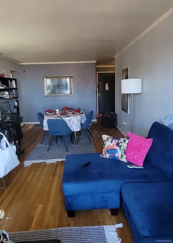 a living room with furniture rug and window