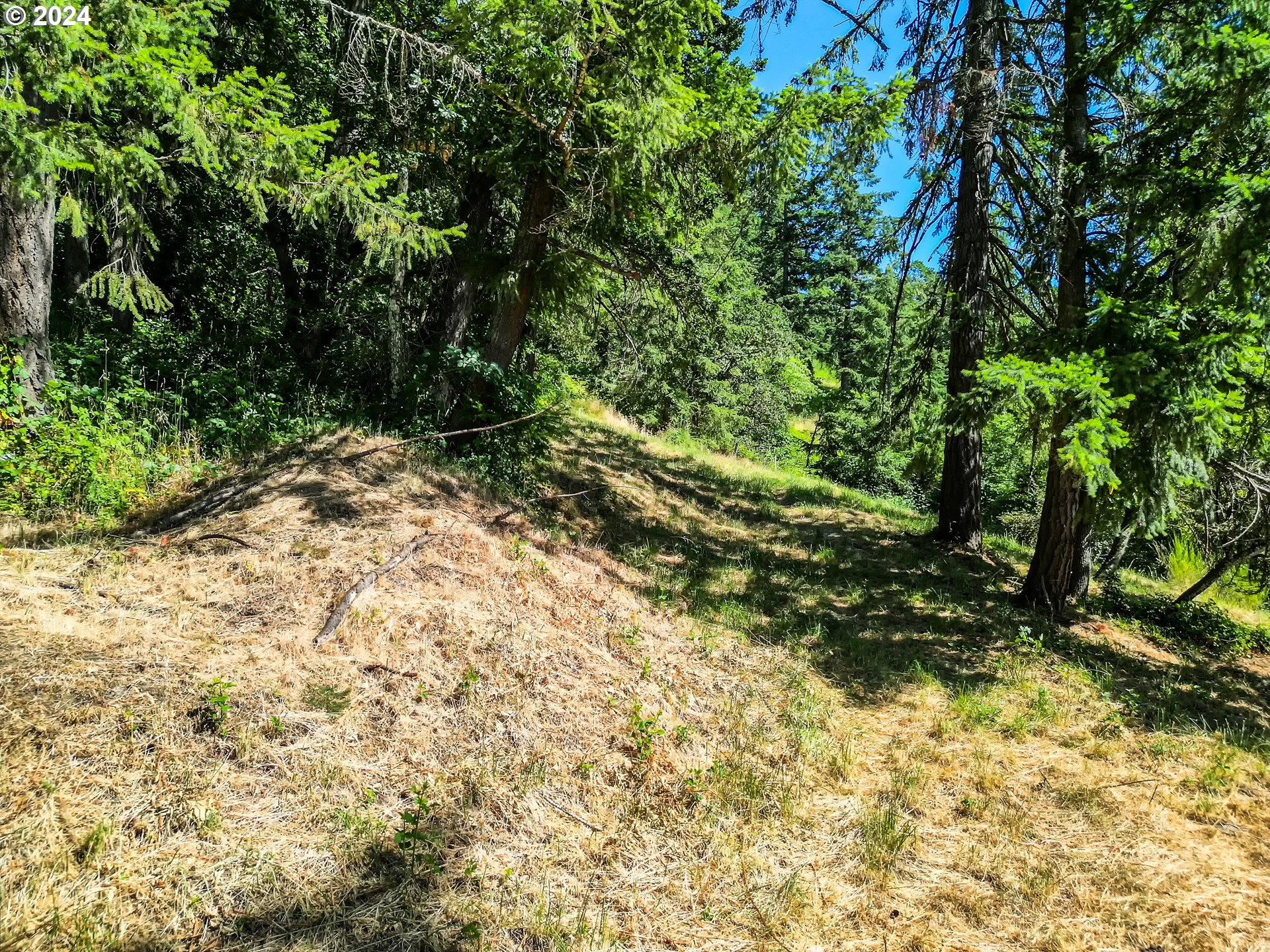 East 38th Avenue Eugene, OR 97405 - Photo 16 of 17