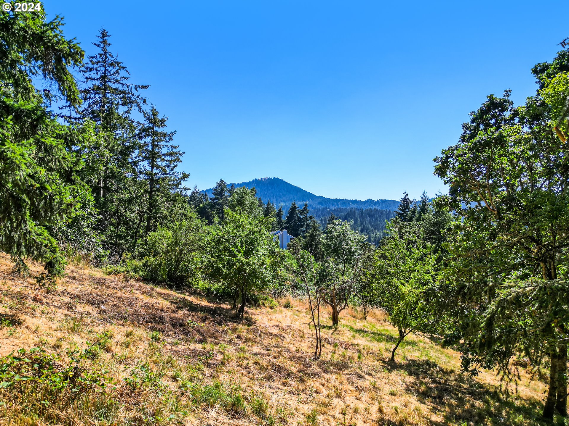 East 38th Avenue Eugene, OR 97405 - Photo 17 of 17