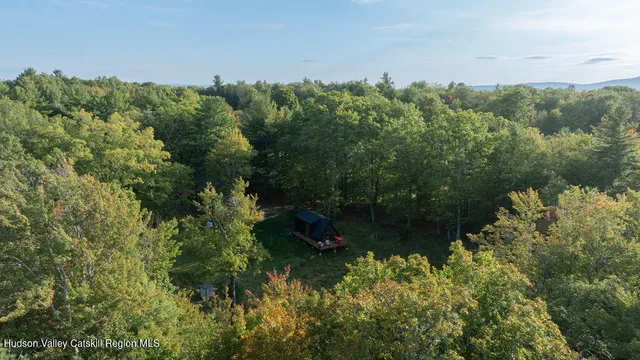 a view of a garden with a lake