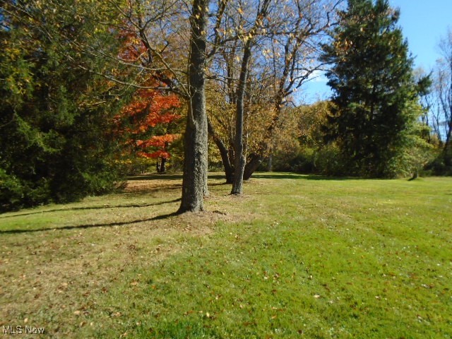 10971 Auburn Road Chardon, OH 44024 - Photo 39 of 40 View of green lawn