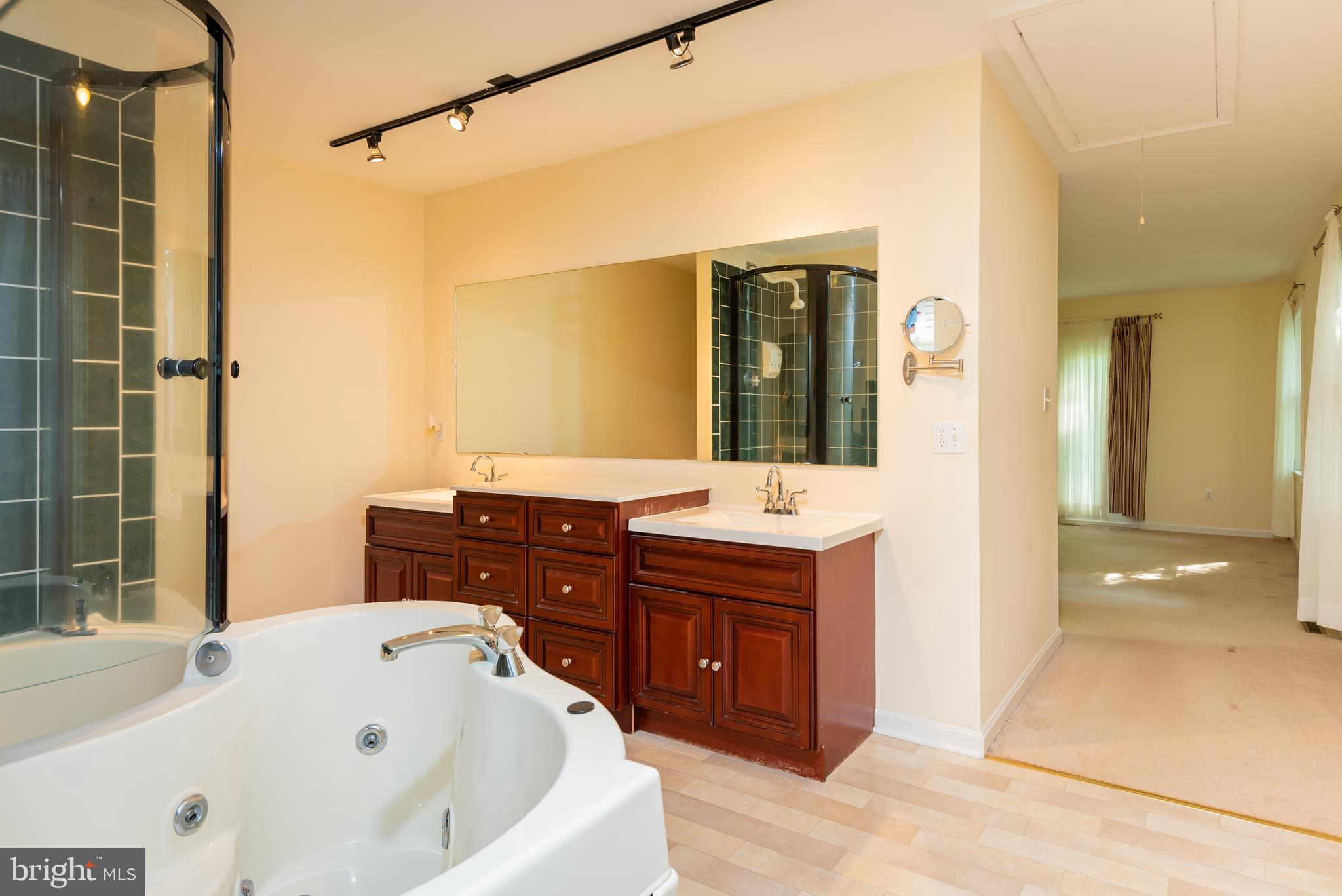 18254 Cherryfield Road Drayden, MD 20630 - Photo 19 of 34 master bath; soaking tub, separate shower
