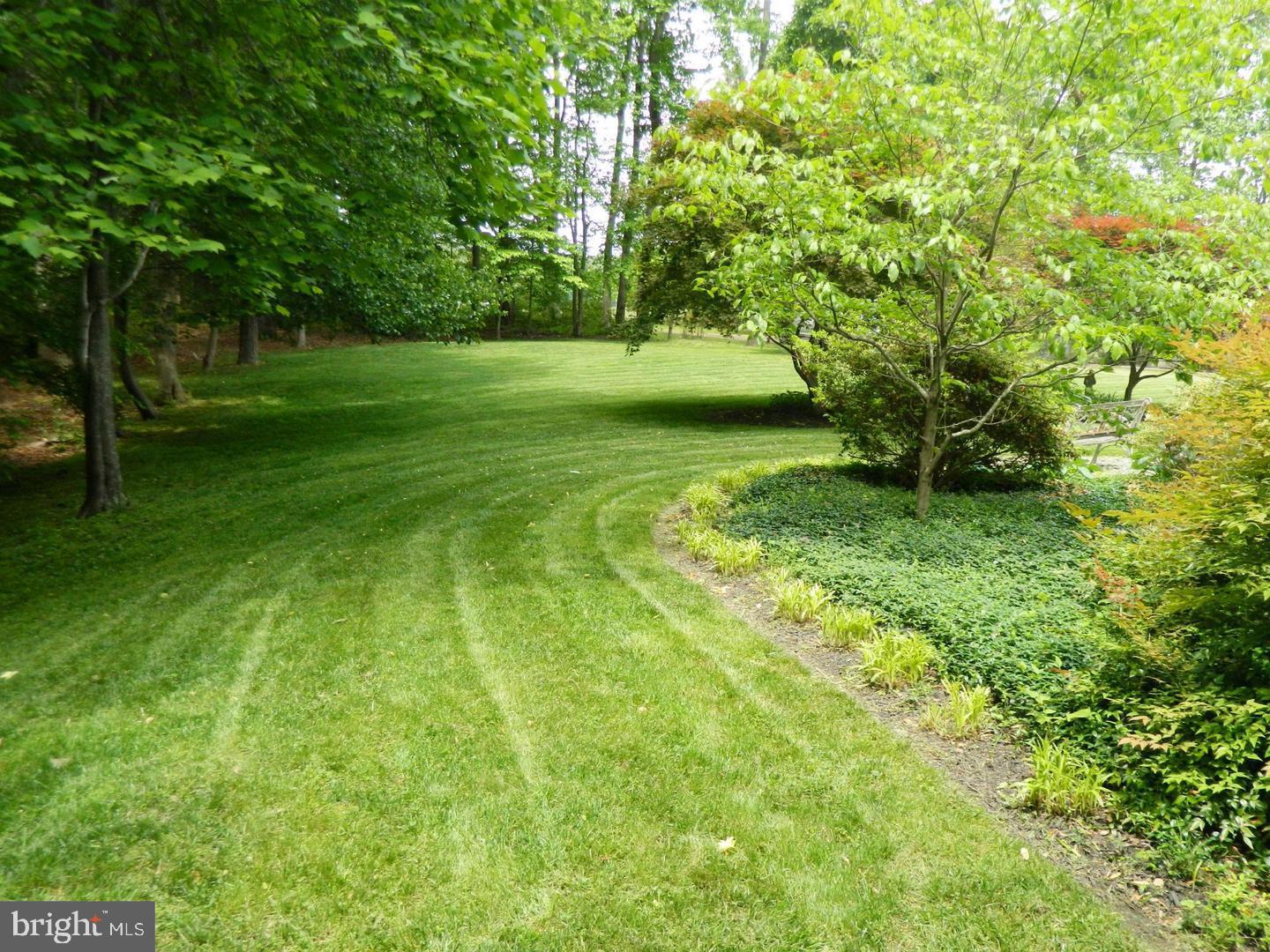 18254 Cherryfield Road Drayden, MD 20630 - Photo 30 of 34 side yard