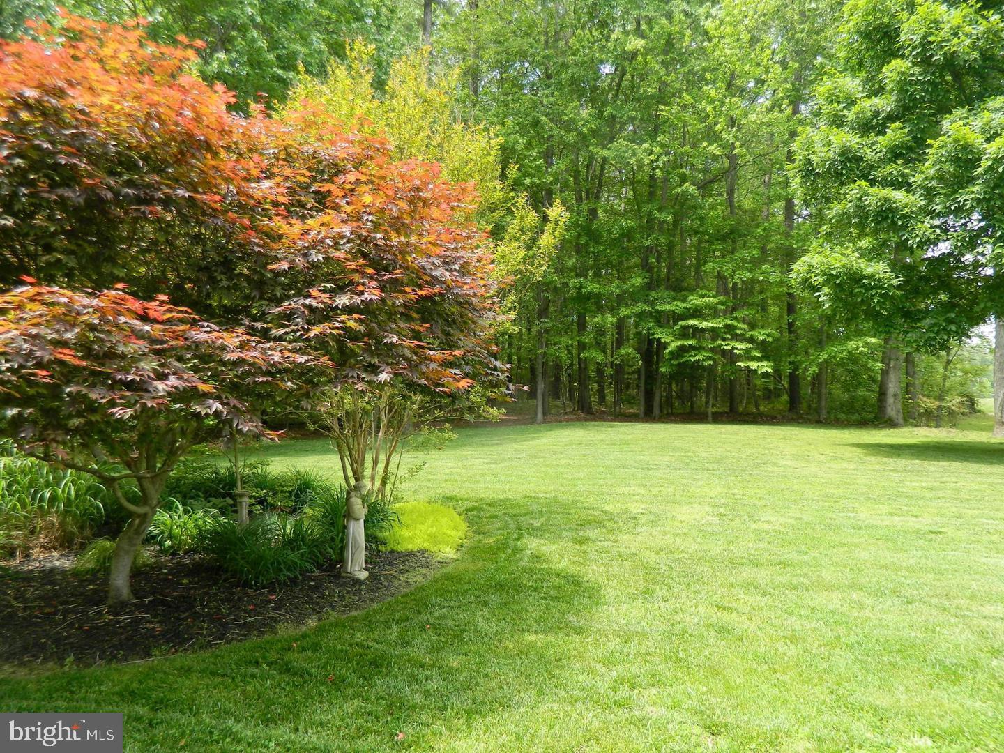 18254 Cherryfield Road Drayden, MD 20630 - Photo 31 of 34 side yard, lovely landscaping