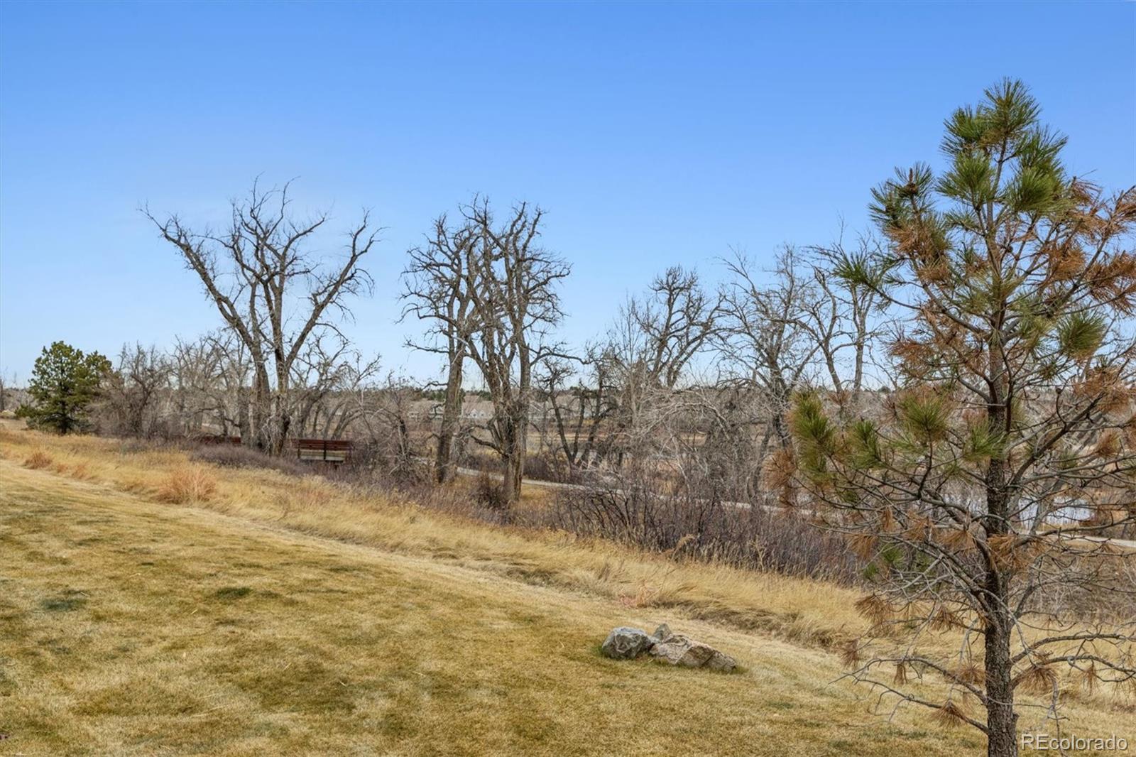 2065 Primo Road, Unit F Highlands Ranch, CO 80129 - Photo 5 of 37 a view of a yard with a tree