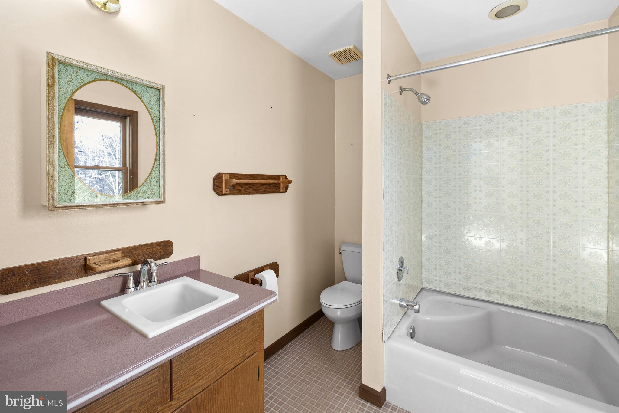 16125 Mountain Track Road Orange, VA 22960 - Photo 27 of 60 a bathroom with a sink toilet and shower