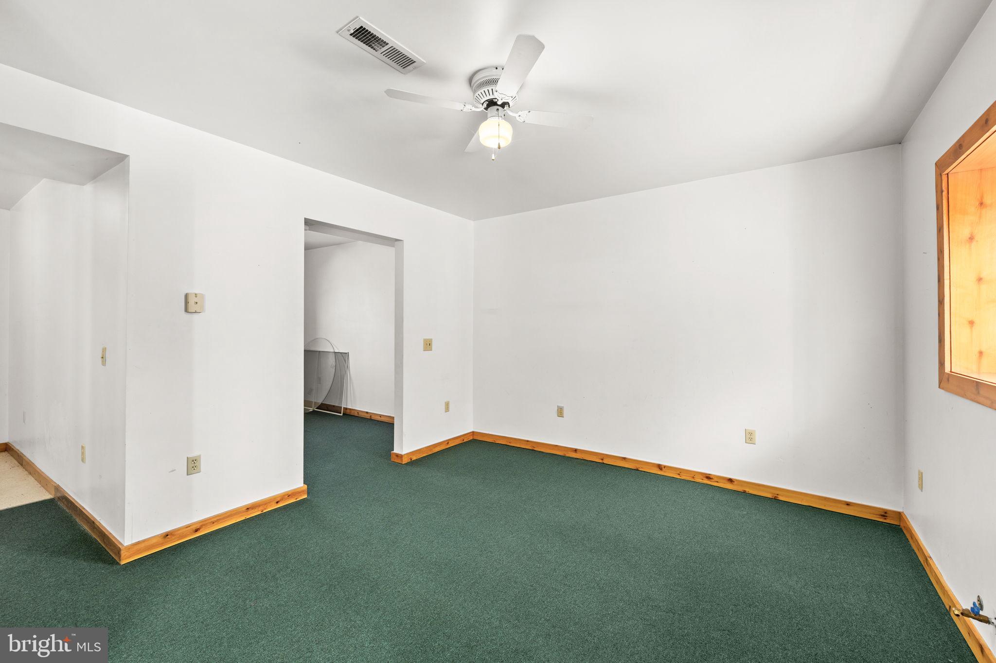 16125 Mountain Track Road Orange, VA 22960 - Photo 28 of 60 an empty room with a window and a ceiling fan