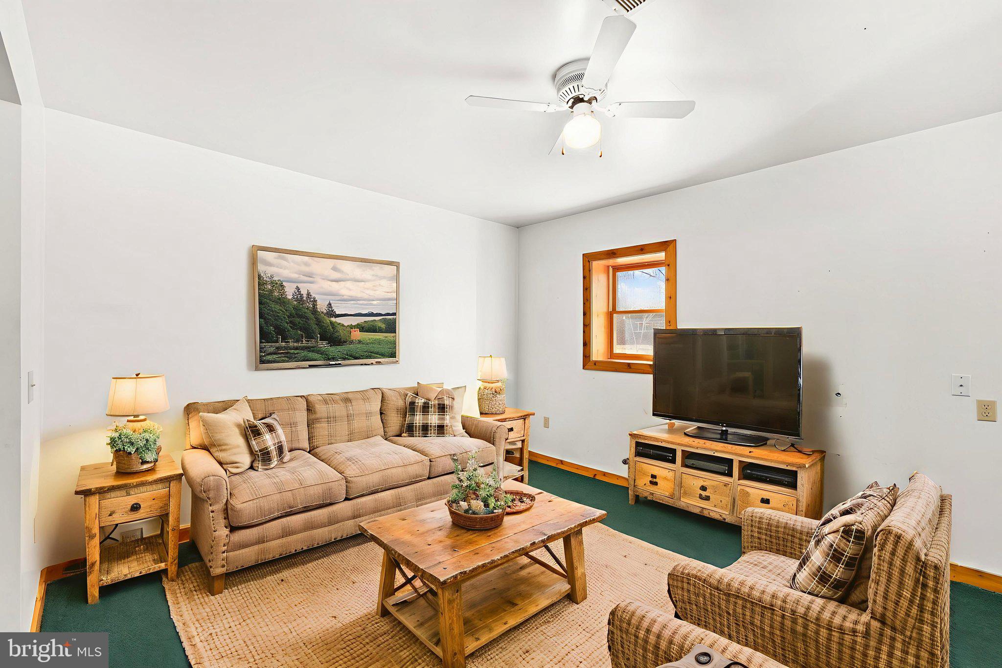 16125 Mountain Track Road Orange, VA 22960 - Photo 32 of 60 a living room with furniture and a flat screen tv