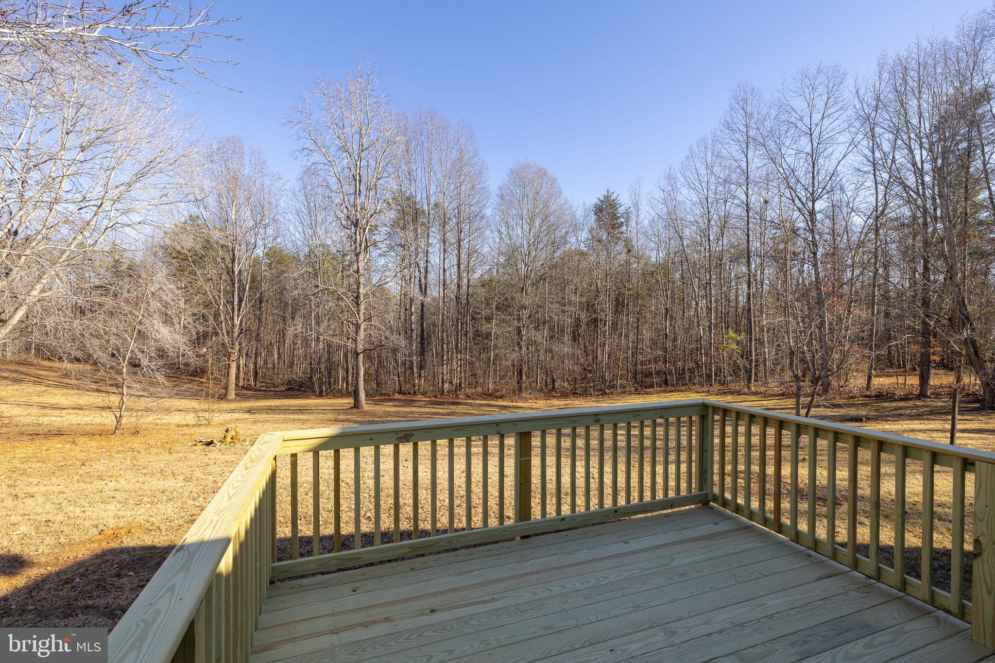 16125 Mountain Track Road Orange, VA 22960 - Photo 39 of 60 a view of balcony with outdoor space